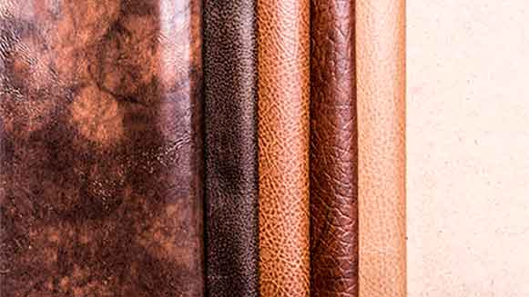 Quienes somos pieles